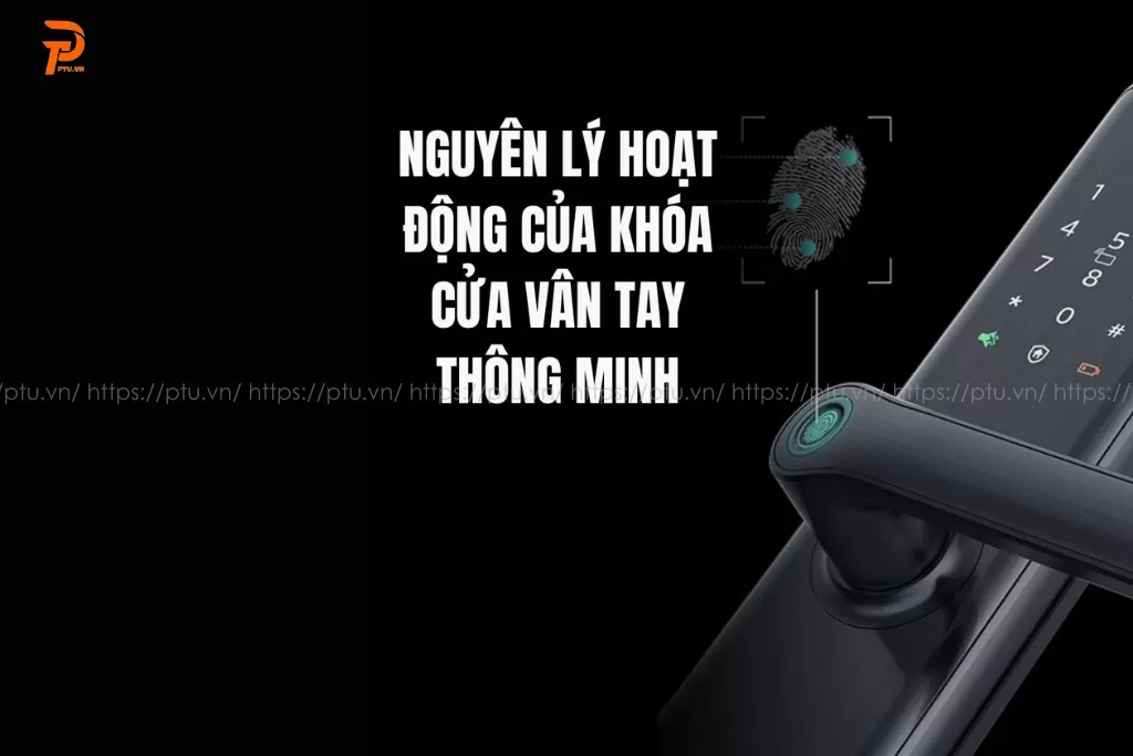 Khóa cửa vân tay