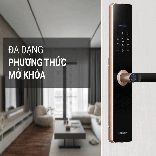 Khóa Cửa Vân Tay Locstar LS-A61 Chuẩn Châu Âu